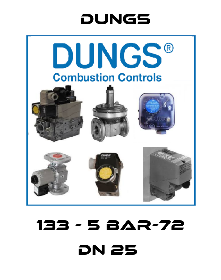 133 - 5 bar-72 DN 25  Dungs