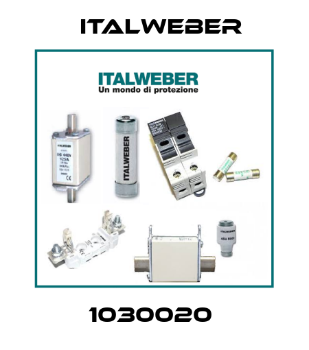 1030020  Italweber