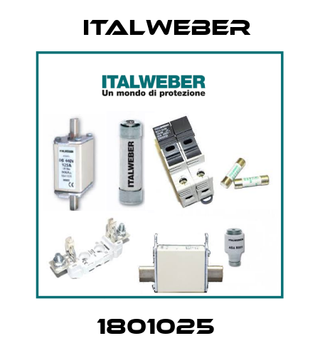 1801025  Italweber