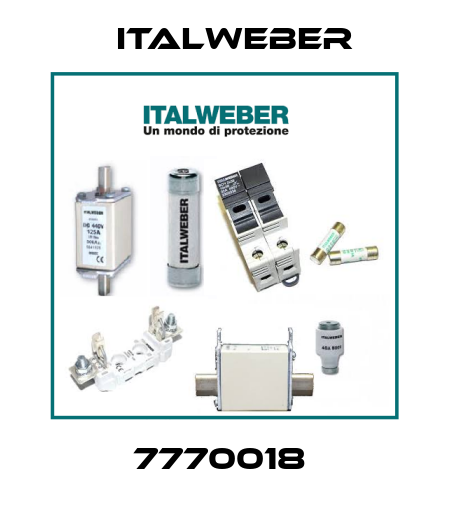 7770018  Italweber