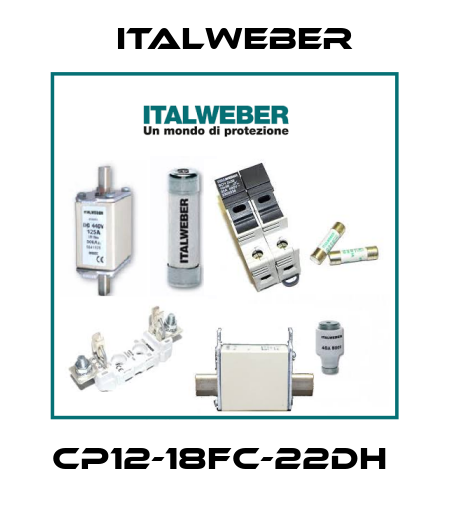 CP12-18FC-22DH  Italweber