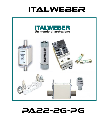PA22-2G-PG  Italweber