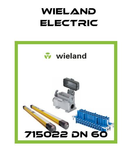 715022 DN 60 Wieland Electric