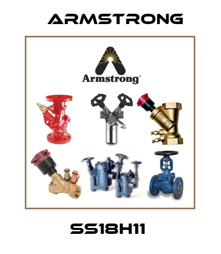 SS18H11  Armstrong