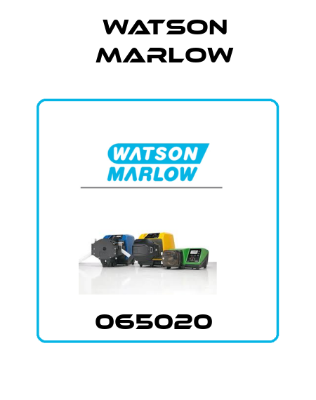 065020  Watson Marlow