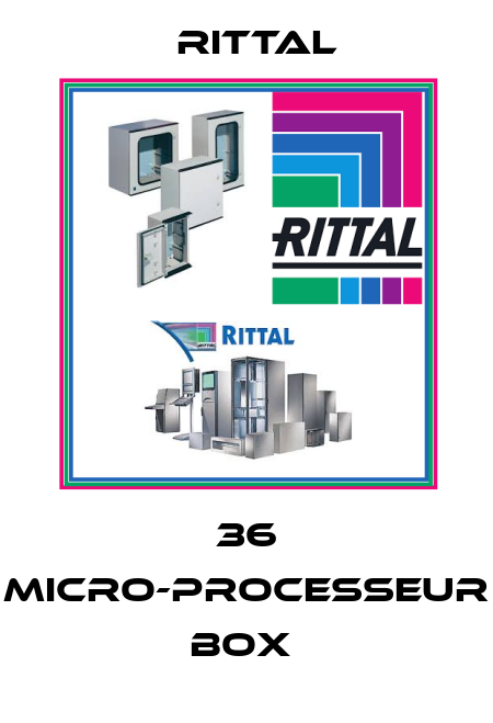 36 MICRO-PROCESSEUR BOX  Rittal