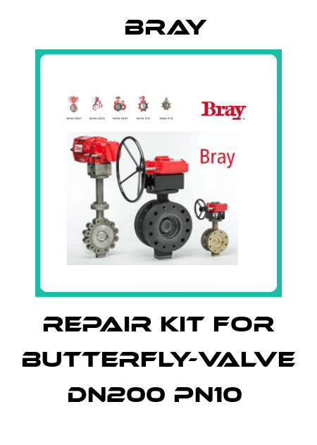 Repair kit for butterfly-valve DN200 PN10  Bray