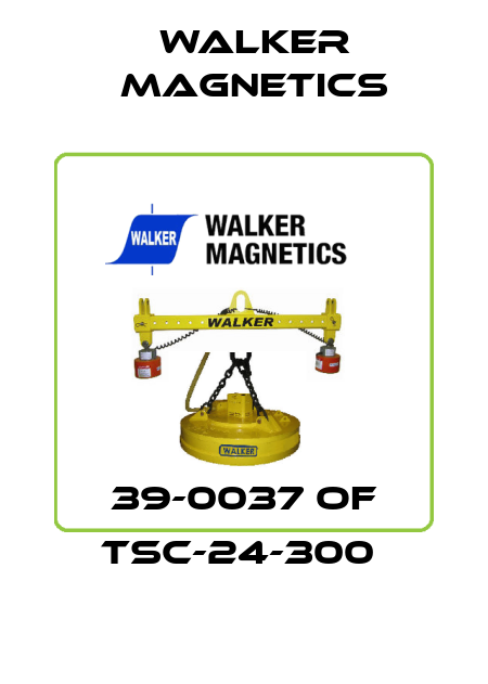 39-0037 OF TSC-24-300  Walker Magnetics