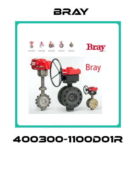 400300-1100D01R  Bray