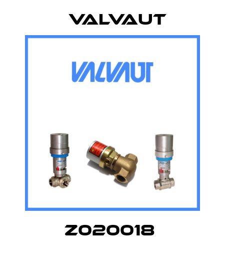 Z020018  Valvaut