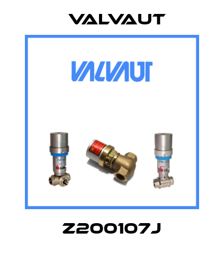 Z200107J Valvaut