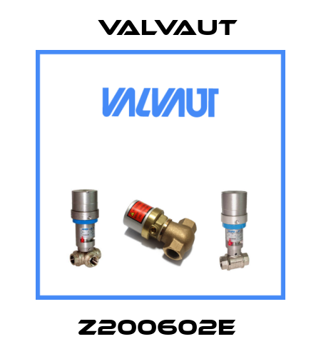 Z200602E  Valvaut