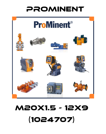 M20x1.5 - 12x9  (1024707)  ProMinent