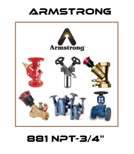 881 NPT-3/4"  Armstrong