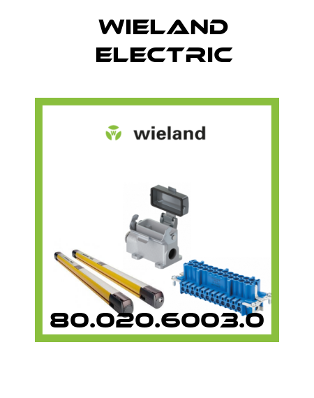80.020.6003.0 Wieland Electric