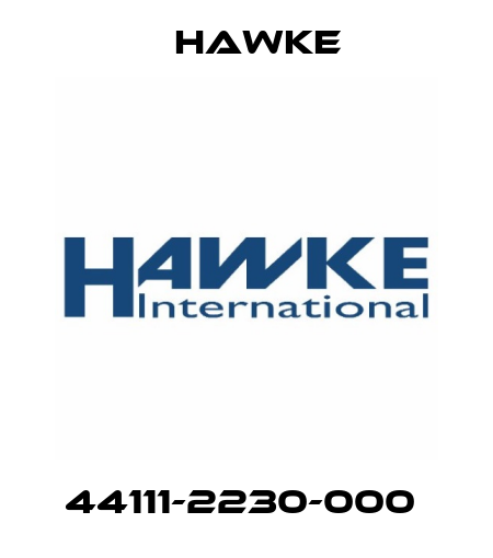 44111-2230-000  Hawke