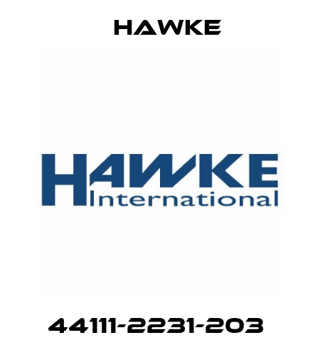 44111-2231-203  Hawke