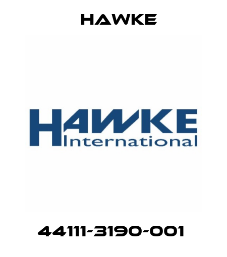 44111-3190-001  Hawke