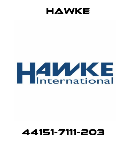 44151-7111-203  Hawke