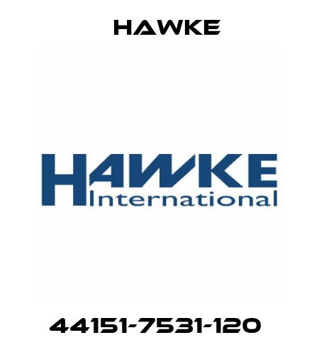 44151-7531-120  Hawke
