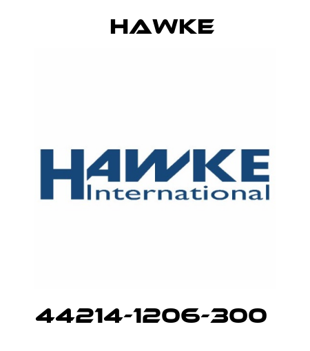 44214-1206-300  Hawke