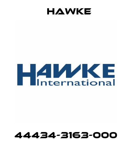 44434-3163-000  Hawke