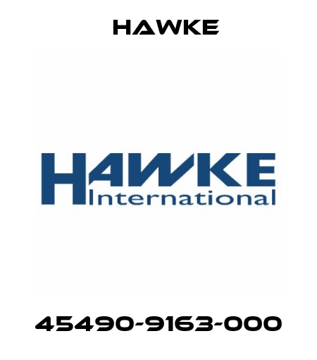 45490-9163-000 Hawke