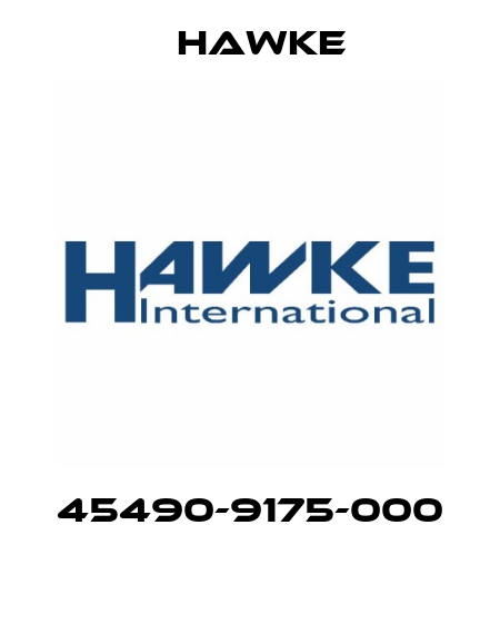 45490-9175-000  Hawke