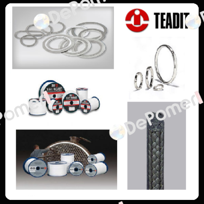 24SH DN100 PN10/16  Teadit