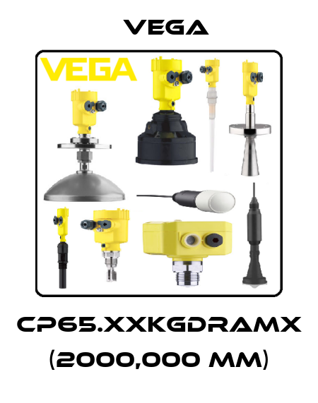 CP65.XXKGDRAMX (2000,000 mm) Vega