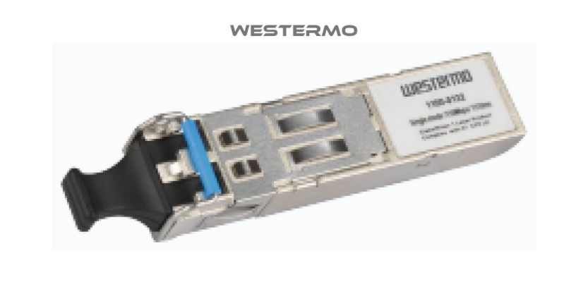 1100-0541 / GSLC10-DDM Westermo
