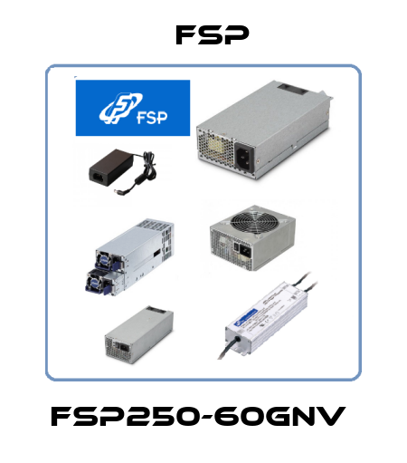 FSP250-60GNV  Fsp