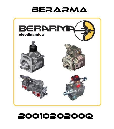 2001020200Q  Berarma