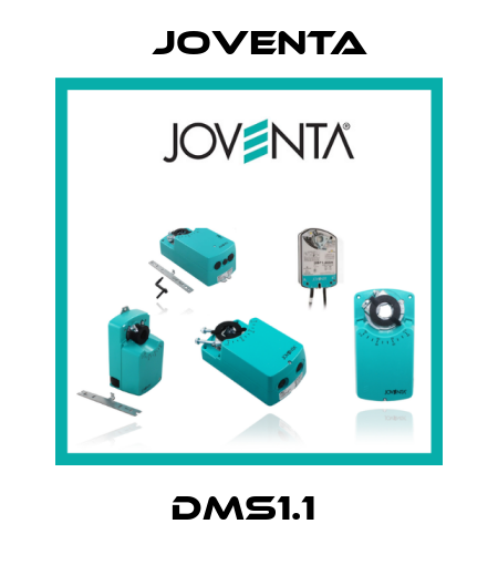 DMS1.1  Joventa
