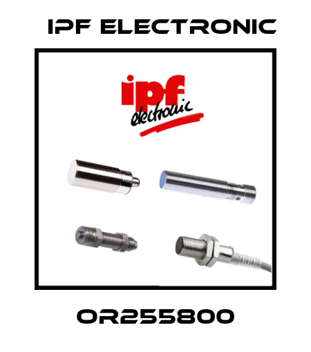 OR255800 IPF Electronic