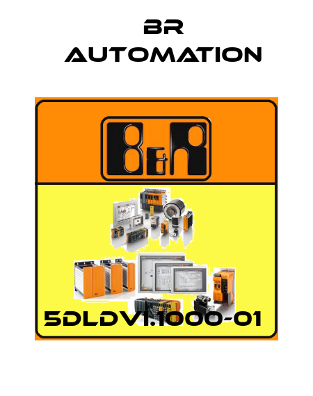 5DLDVI.1000-01  Br Automation