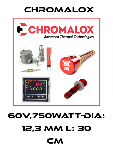 60V,750WATT-DIA: 12,3 MM L: 30 CM  Chromalox