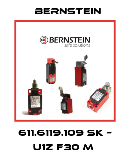 611.6119.109 SK – U1Z F30 M  Bernstein