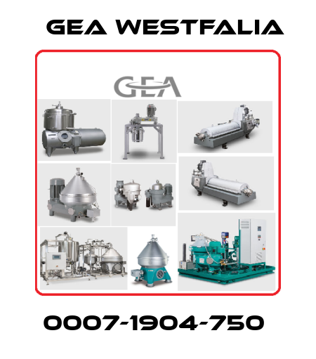 0007-1904-750  Gea Westfalia