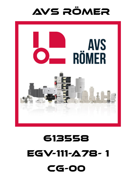 613558  EGV-111-A78- 1 CG-00  Avs Römer