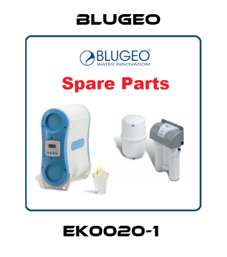 EK0020-1  Blugeo