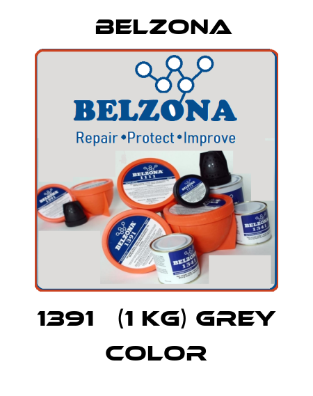 1391Т (1 kg) GREY color Belzona