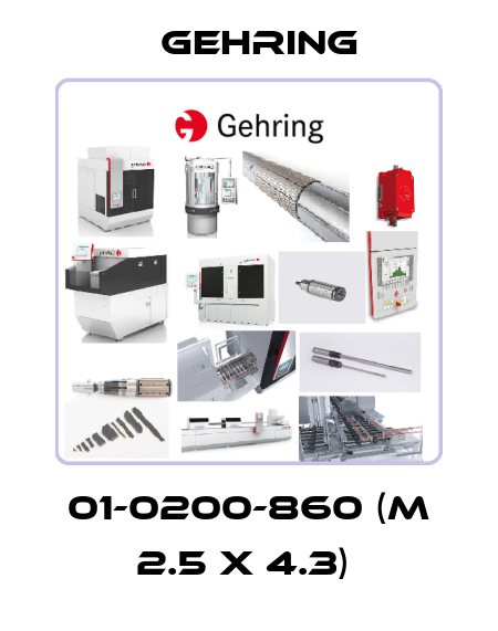 01-0200-860 (M 2.5 x 4.3)  Gehring