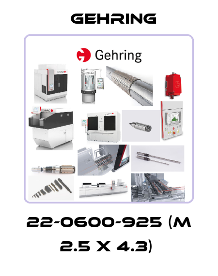 22-0600-925 (M 2.5 x 4.3)  Gehring