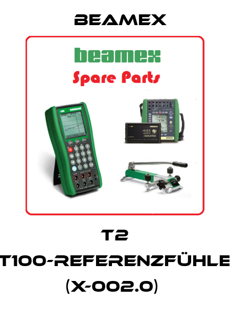 T2 Pt100-Referenzfühler (X-002.0)  Beamex