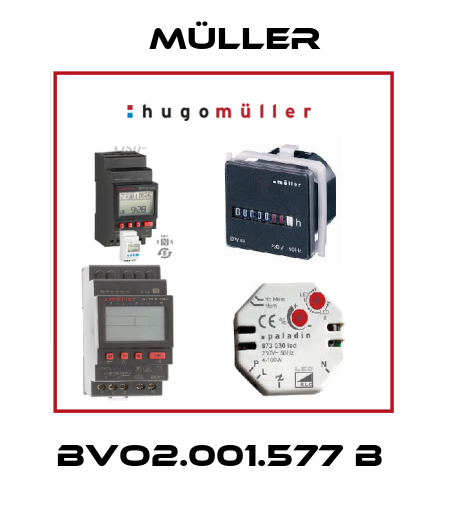 BVO2.001.577 B  Müller