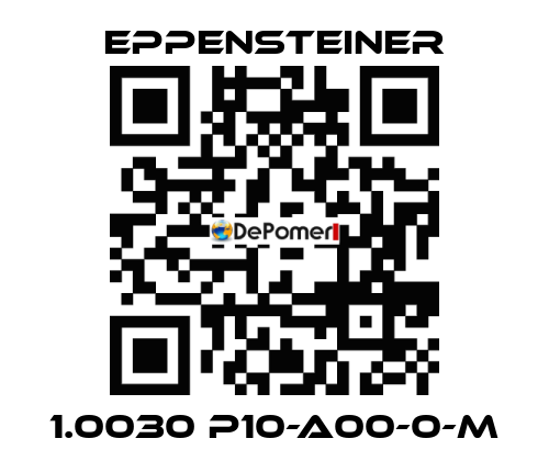 1.0030 P10-A00-0-M Eppensteiner