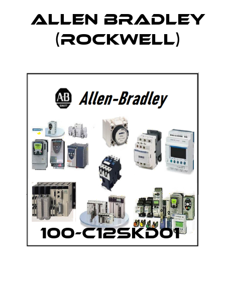 100-C12SKD01  Allen Bradley (Rockwell)