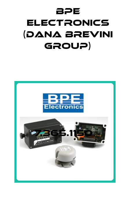 7.365.1150  BPE Electronics (Dana Brevini Group)