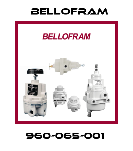960-065-001  Bellofram